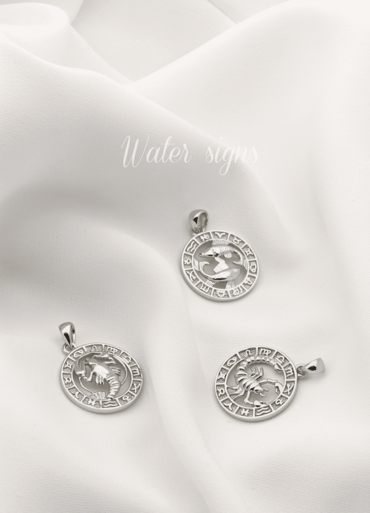 JVD Stříbrný přívěsek znamení SVLP0713XH200RY RYBY