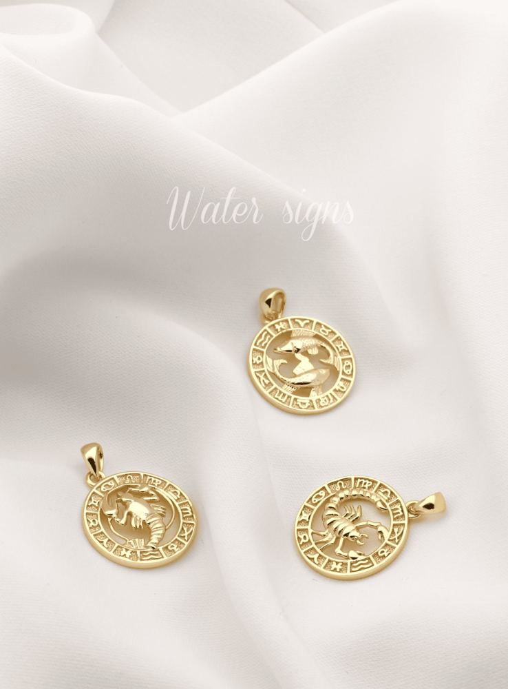 JVD Stříbrný přívěsek znamení SVLP0713XH2GORY RYBY