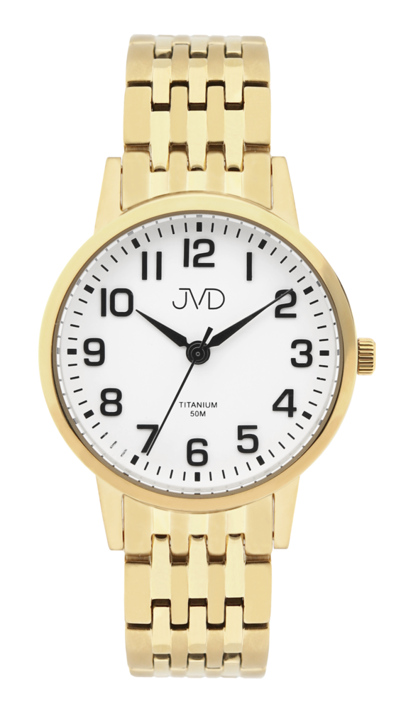 JVD Pánské námrakové titanové antialergické zlacené hodinky JVD JE5001.3