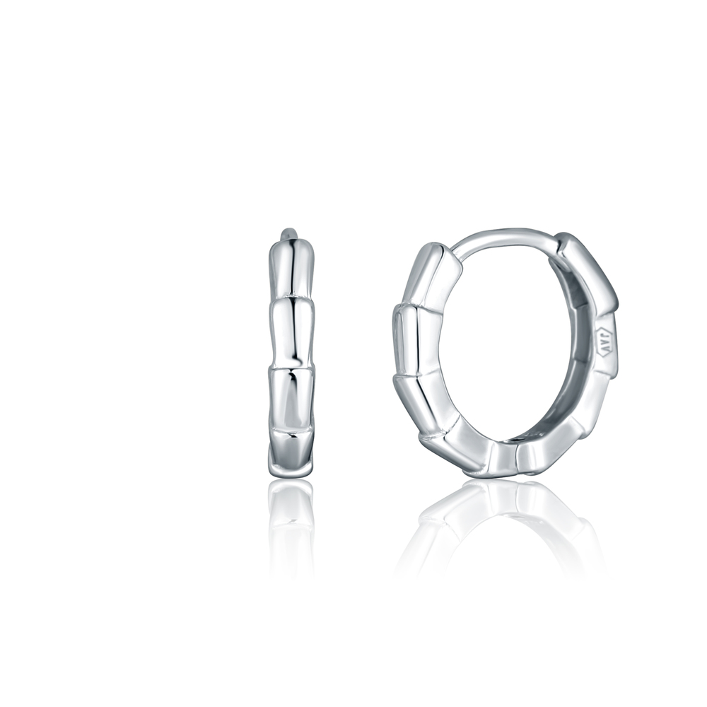 JVD Dámské stříbrné kruhové náušnice SVLE2736X860000