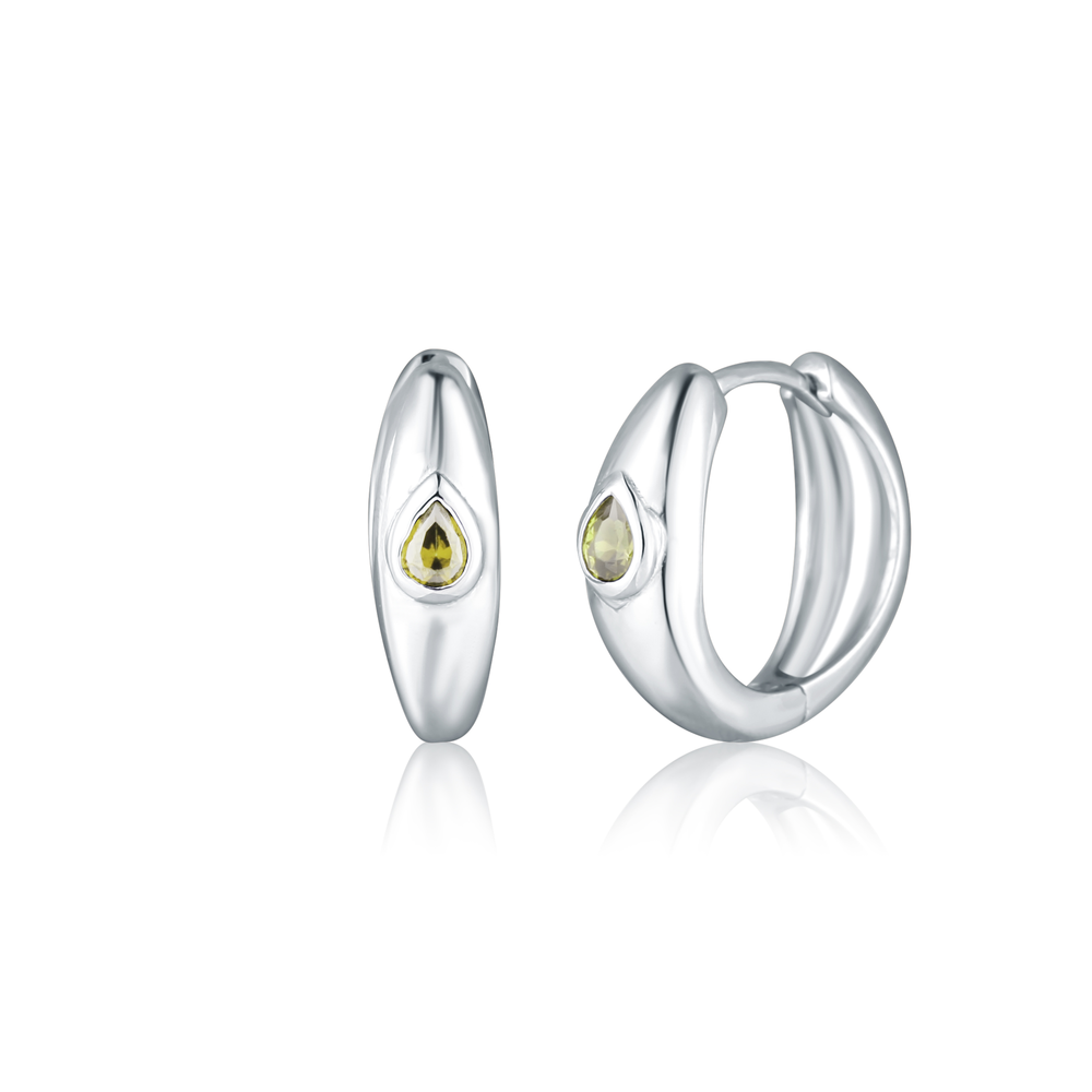 JVD Dámské stříbrné kruhové náušnice se zirkony SVLE0847SH2ZL00